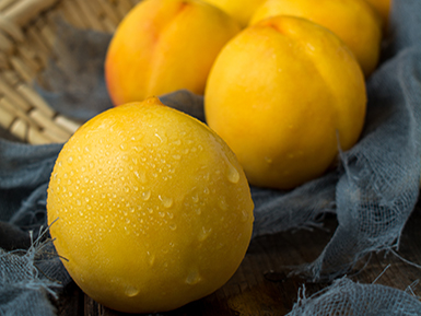 九游体育官方注册基地展示五